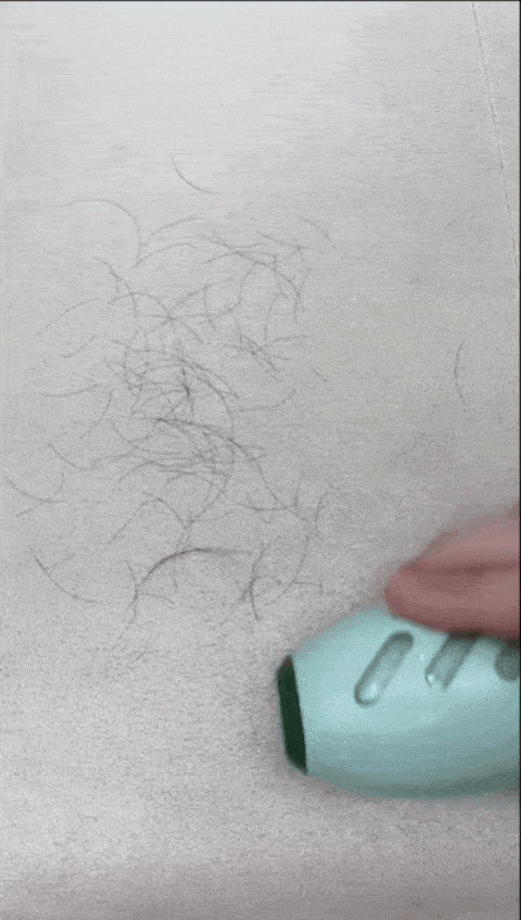 10013 (1).gif