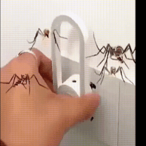 14.gif