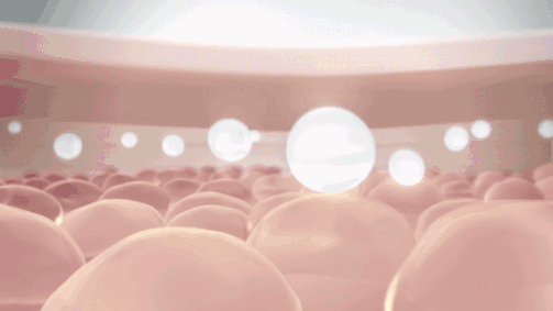 21.gif/