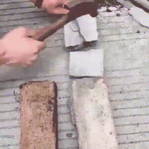 P_019.gif