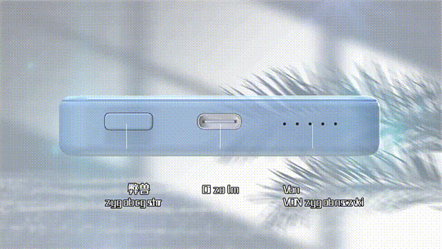 DM_20241212115913_028.gif