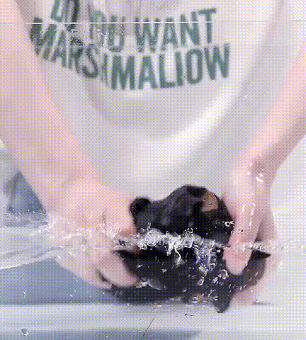 20240515_102436_004.gif