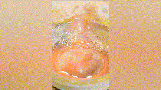 20240613_150756_011.gif