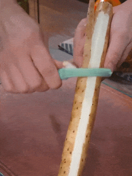 DM_20240829175258_010.gif