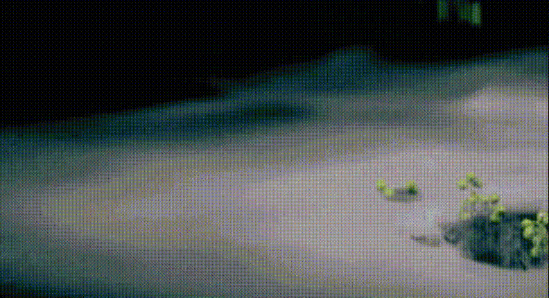 021.gif