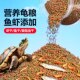 ອາຫານເຕົ່າ, ອາຫານເຕົ່າ, ເຕົ່າເງິນ, hatchling, ເຕົ່ານ້ອຍ, ອາຫານເຕົ່າ Brazilian ທົ່ວໄປ, ອາຫານກຸ້ງພິເສດ, ກະປ໋ອງກຸ້ງແຫ້ງ