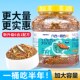 ອາຫານເຕົ່າ, ອາຫານເຕົ່າ, ເຕົ່າເງິນ, hatchling, ເຕົ່ານ້ອຍ, ອາຫານເຕົ່າ Brazilian ທົ່ວໄປ, ອາຫານກຸ້ງພິເສດ, ກະປ໋ອງກຸ້ງແຫ້ງ