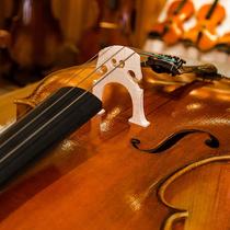 SC300-A imported European material adult handmade solid wood professional performance-grade cello