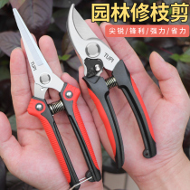 German imported fruit tree pruning scissors stainless steel household gardening scissors pruning shears branch scissors
