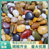 Shanghai cobblestone rain flower stone fish tank flower pot goose soft stone raw stone natural small stone courtyard decoration colorful stone