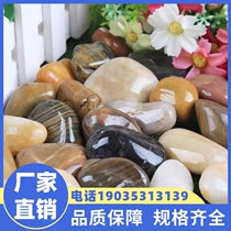 Qinghai cobblestone rain flower stone fish tank flower pot goose soft stone raw stone natural small stone courtyard decoration colorful stone