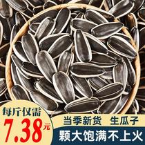 Ripe melon seeds and sunflower seeds new arrival fresh ripe sunflower seeds fragrant melon seeds original bulk 10 pounds large sunflower seeds roasted seeds