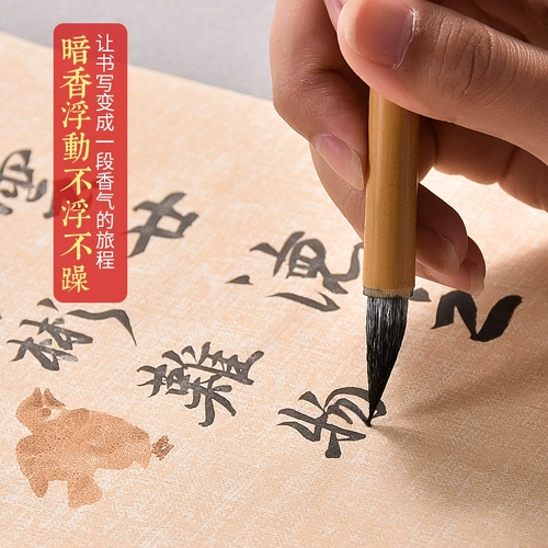 成竹堂 Вместительная и большая кисть для письма для начинающих, пигментированная быстросохнущая практика, чернила, 250/500/1200