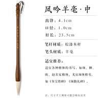 Купите больше и получите больше бесплатно [Фэн Инь] Овечья шерсть — средний размер (шрифт 5–9 см)