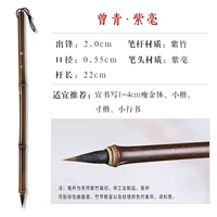 Zeng Zing Zi волосы