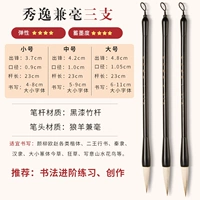 Xiu yi и санши