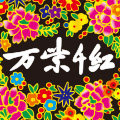 万紫千红旗舰店的LOGO