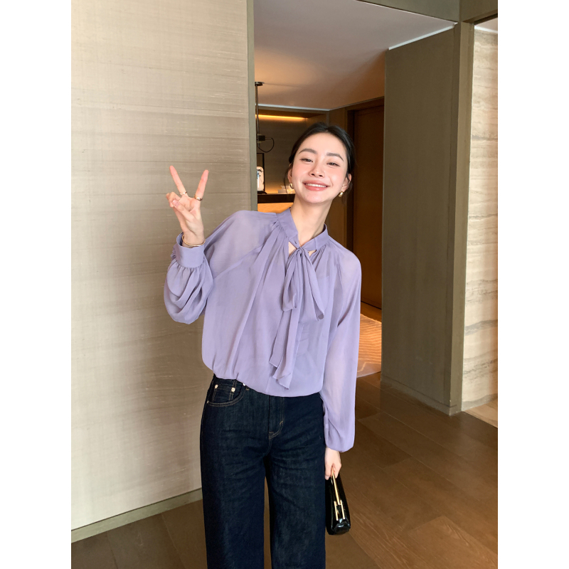 Maven Lin Elegant Purple Shirt, White-Enhancing Top for Women, Stylish Design, Slightly See-Through, Reversible Shirt Maven Lin Elegant Purple Shirt, White-Enhancing Top for Women, Stylish Design, Slightly See-Through, Reversible Shirt