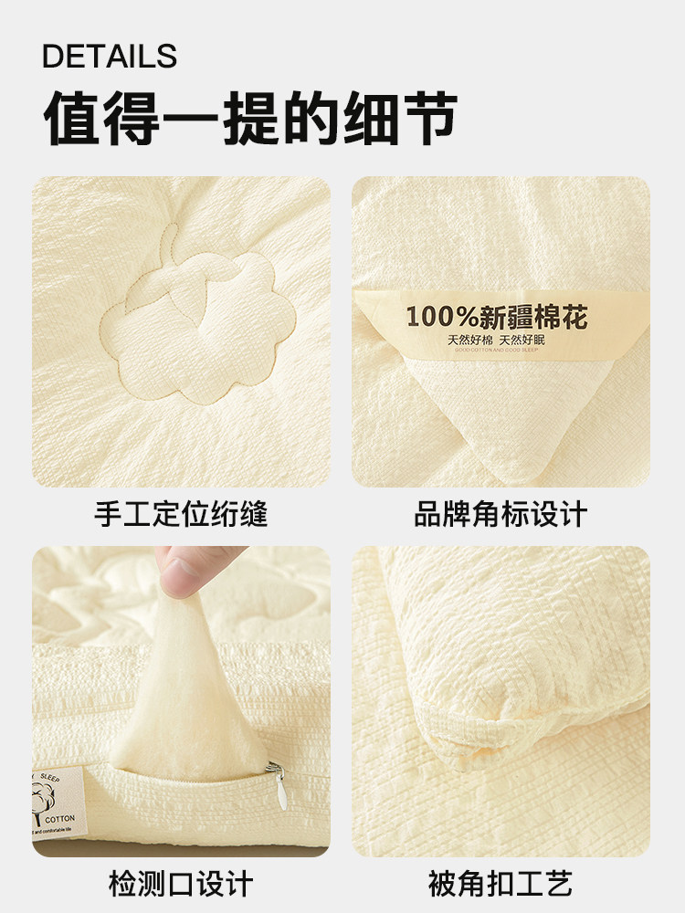Muji 2025 New Xinjiang Cotton Quilt Winter Quilt Double Pure Cotton Filling Spring and Autumn Quilt Cotton Quilt Core