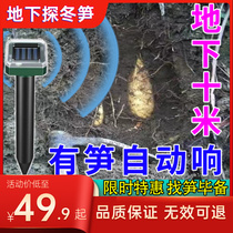 Find the special mirror high-precision winter asparagus detector detection instrument winter asparagus fresh and special asparagus