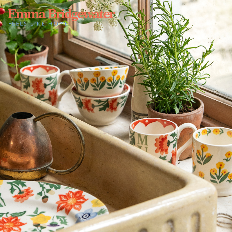 Emma Bridgewater Ceramic Mug, Water Cup, Bowl, Plate, Household Underglaze Color Tableware, Holiday Gift