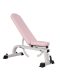 Pink Dumbbell Bench, Bench Press Chair, Fitness Chair, Women's Personal Training Equipment, Gym Yoga Equipment for Women