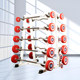 Pu Fixed Barbell Set Biceps Training Gym Barbell Integrated Barbell Eco-Friendly Barbell Straight Bar Curved Bar