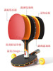 Peak Table Tennis Racket Genuine Flagship Store High Elasticity Beginner Table Tennis Children's Elementary School Student Professional Grade Double Racket