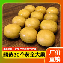 Selected 30 golden fruits authentic Guangxi Yongfu Luo Han Guo Guilin specialty dried fruit scented tea soaked in water and drank to moisten the throat