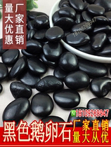 Black Pebble Direct Sell Black and White Rainy Stone Soft Stone Courtyard Decorated Color Stone