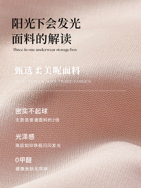 German Premium Underwear Storage Box, Fabric Drawer-Style Divider for Underwear and Socks, Dormitory Organizing Box