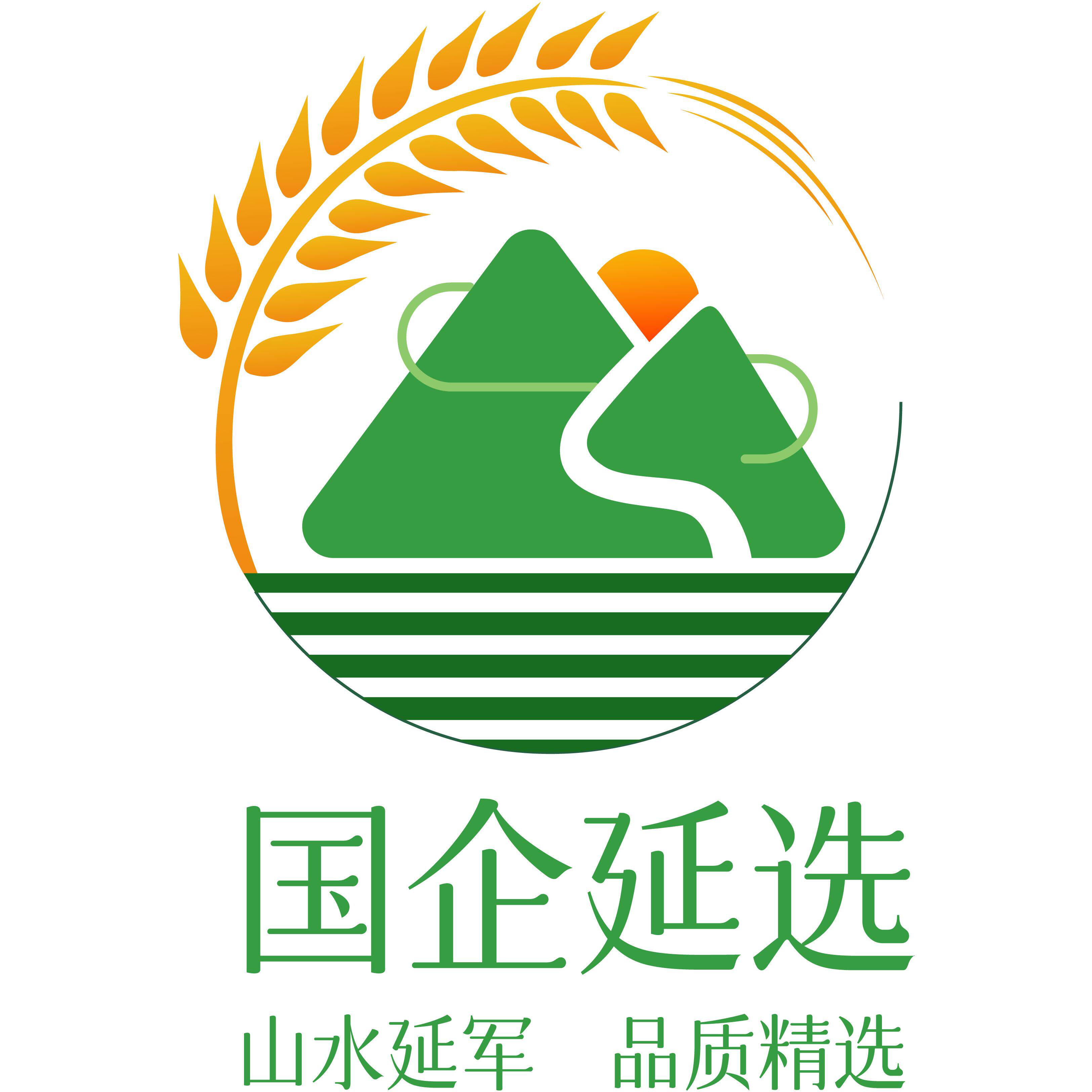 国企延选的LOGO