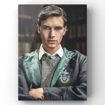 Voldemort: The Origin of Descendants 2018 1080P movie Chinese and English subtitles Dial Size 1 5