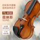 Vlins Tl408 Solid Wood Violin for Beginners, Professional Grading, Performance, Children's Entry-Level Practice Violin