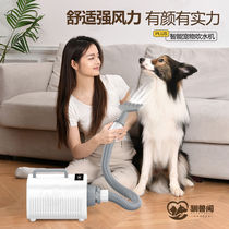 Pet water blower home intelligent hair dryer for cats and dogs special dryer for large dogs special bathing and hair blowing tool