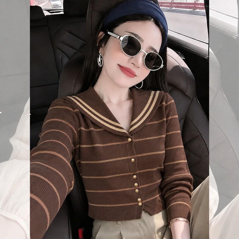 Navy Striped Knit Sweater Korean Style Niche Beautiful Soft Top 2026 Autumn New Versatile Exquisite Sweater