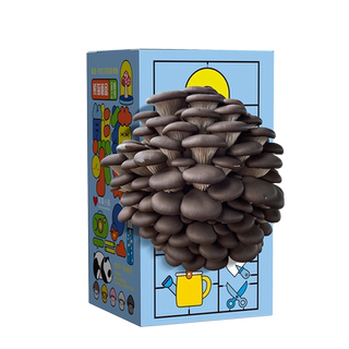 Mushrooms grown by spraying water are delicious, fun and easy to raise