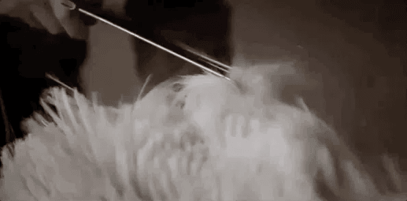 20251015_084324_027.gif