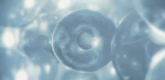 07.gif
