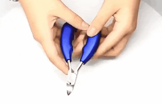 DM_20250609161213_023.gif