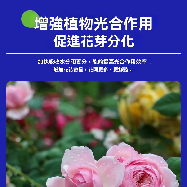 17550993463adff8.jpg