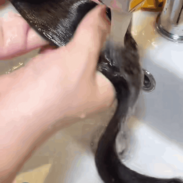 38.gif