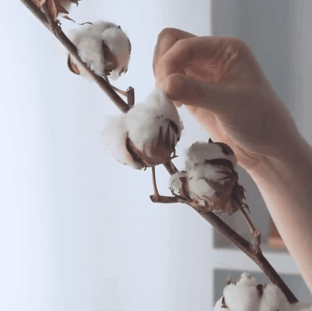 20250925_153320_050.gif