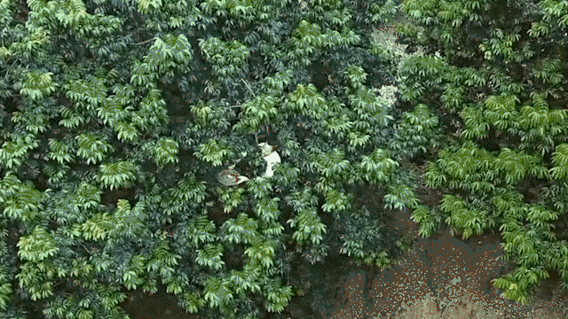 DM_20250528162510_018.gif
