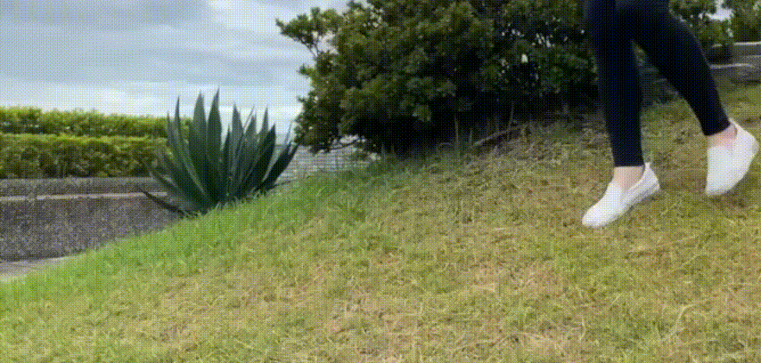 16.gif