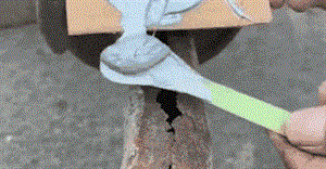 21.gif