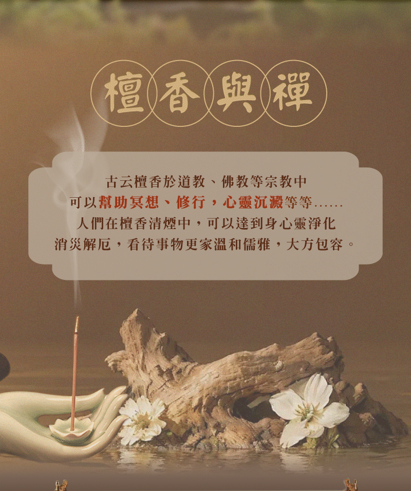 13.gif