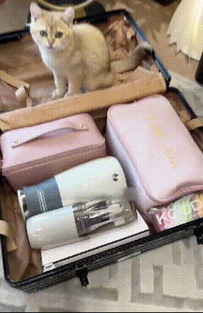 006.gif