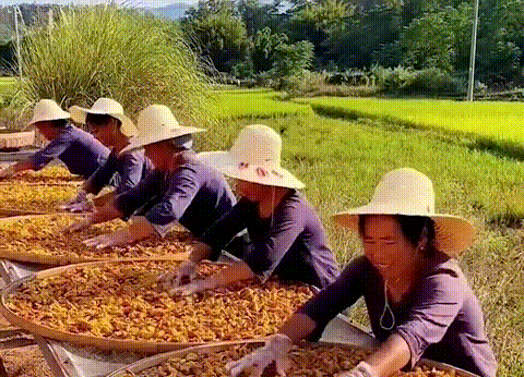 34.gif