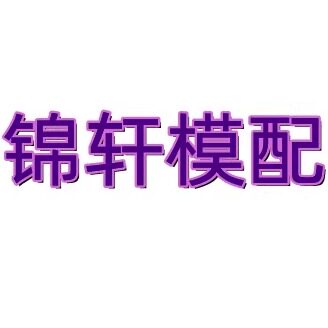 锦轩模具配件